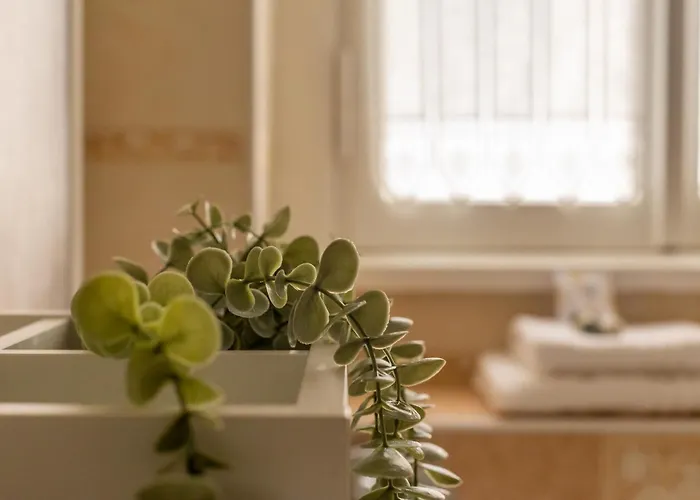 Iflat Vatican Spacious With Terrace Lejlighed *