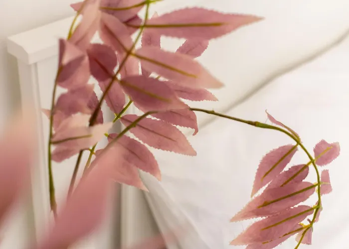 Iflat Vatican Spacious With Terrace Lejlighed *