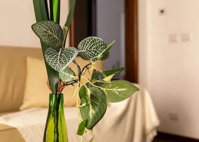 Iflat Vatican Spacious With Terrace